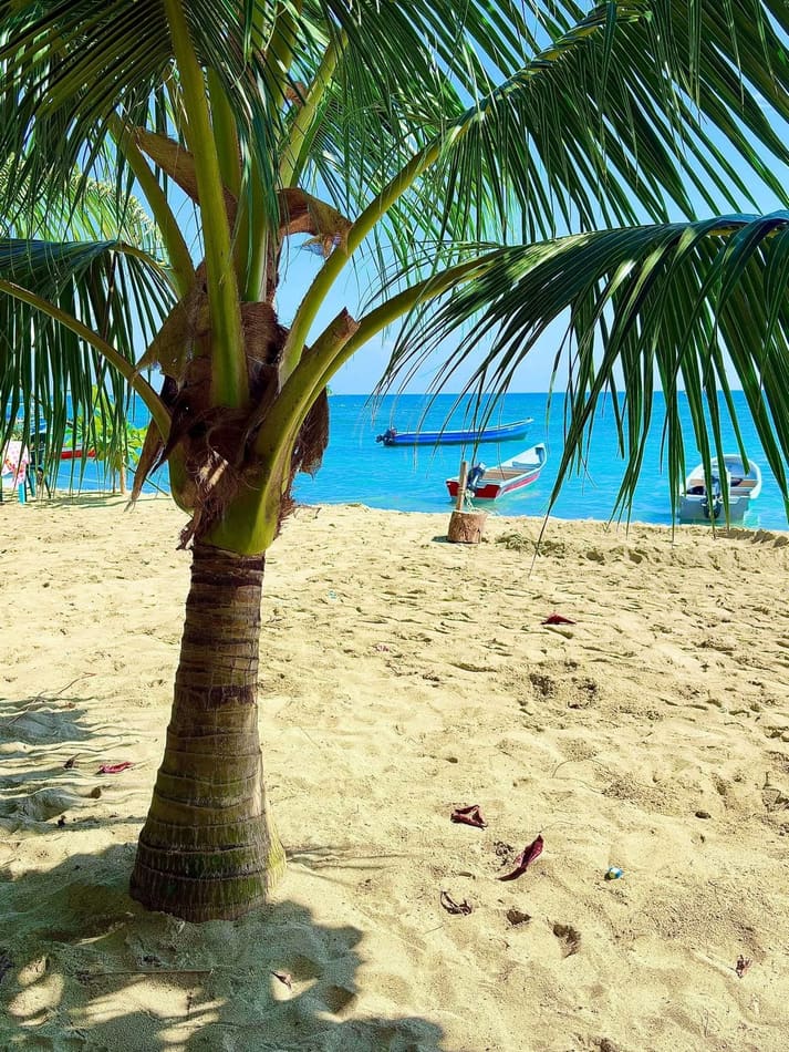 Playa virgen y arrecifes de coral en Capurganá, frontera con Panamá