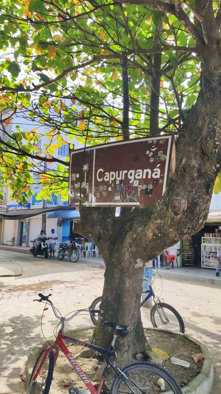 Letrero de bienvenida a Capurganá bajo un árbol en el centro del pueblo