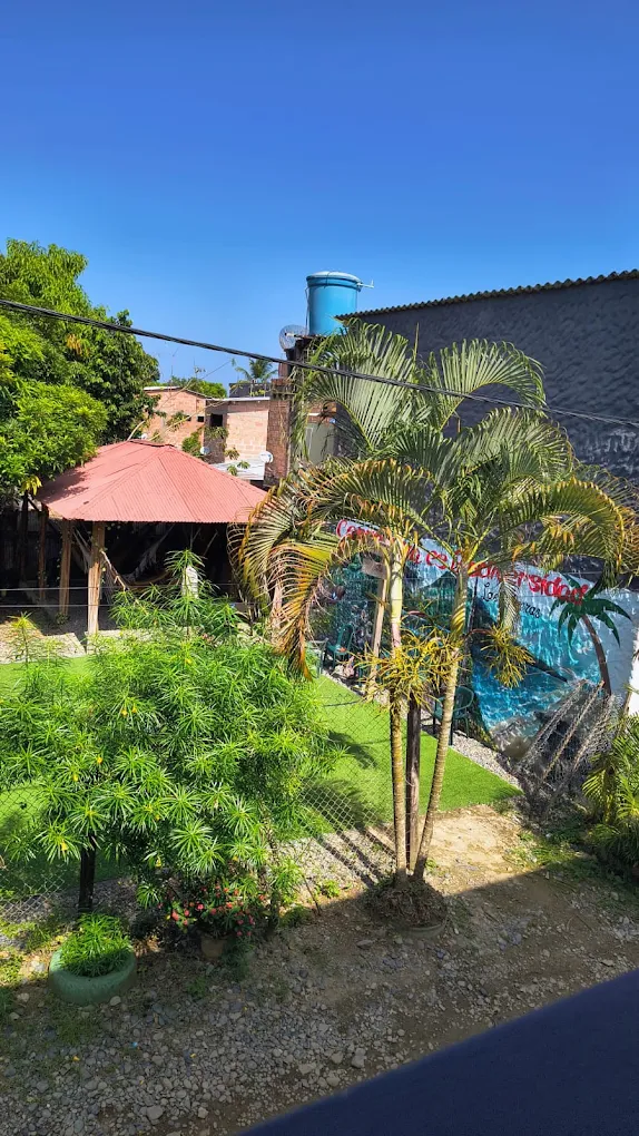 LAS PALMERAS