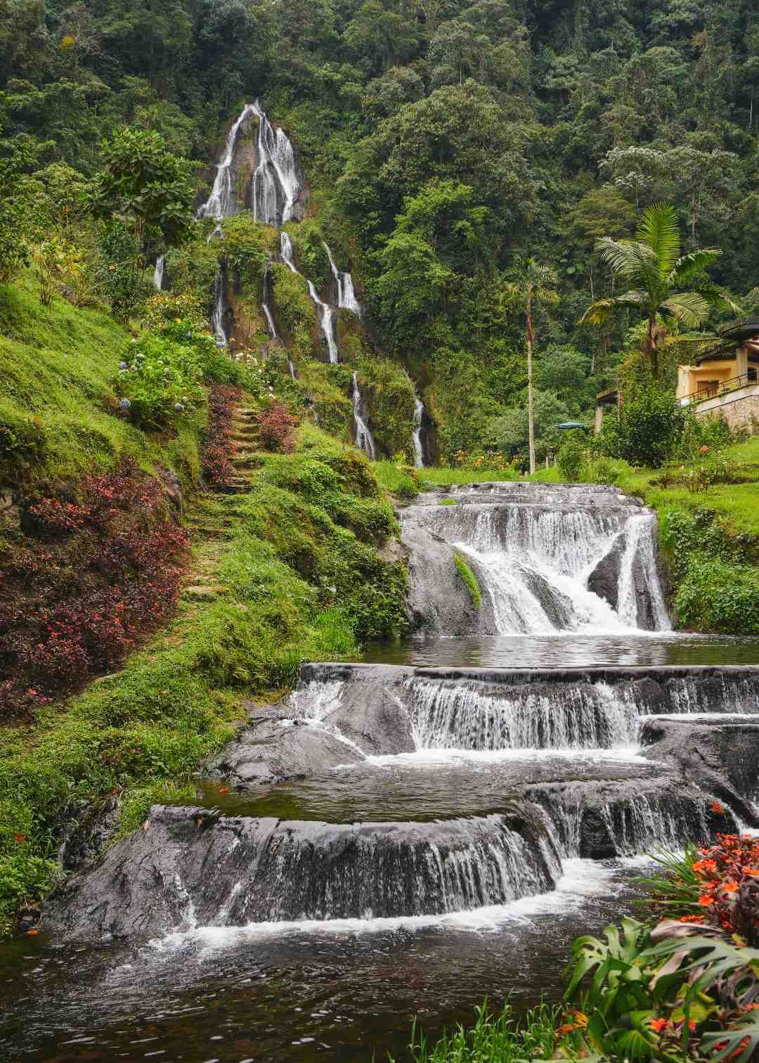 Cascada escalonada de varios niveles entre vegetación tropical en el Eje Cafetero