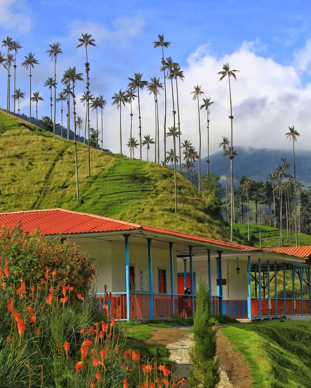 Casa cafetera colonial de techo rojo rodeada de palmas de cera en las colinas de Quindío