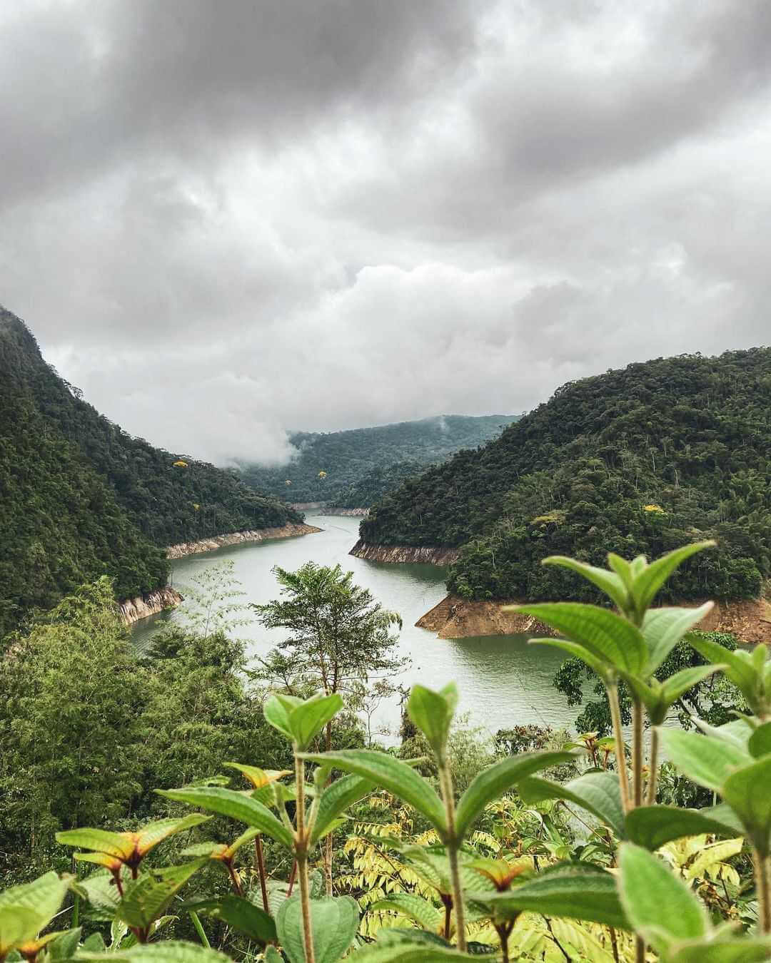 Mirador con vegetación en primer plano sobre el embalse Amaní entre montañas neblinosas