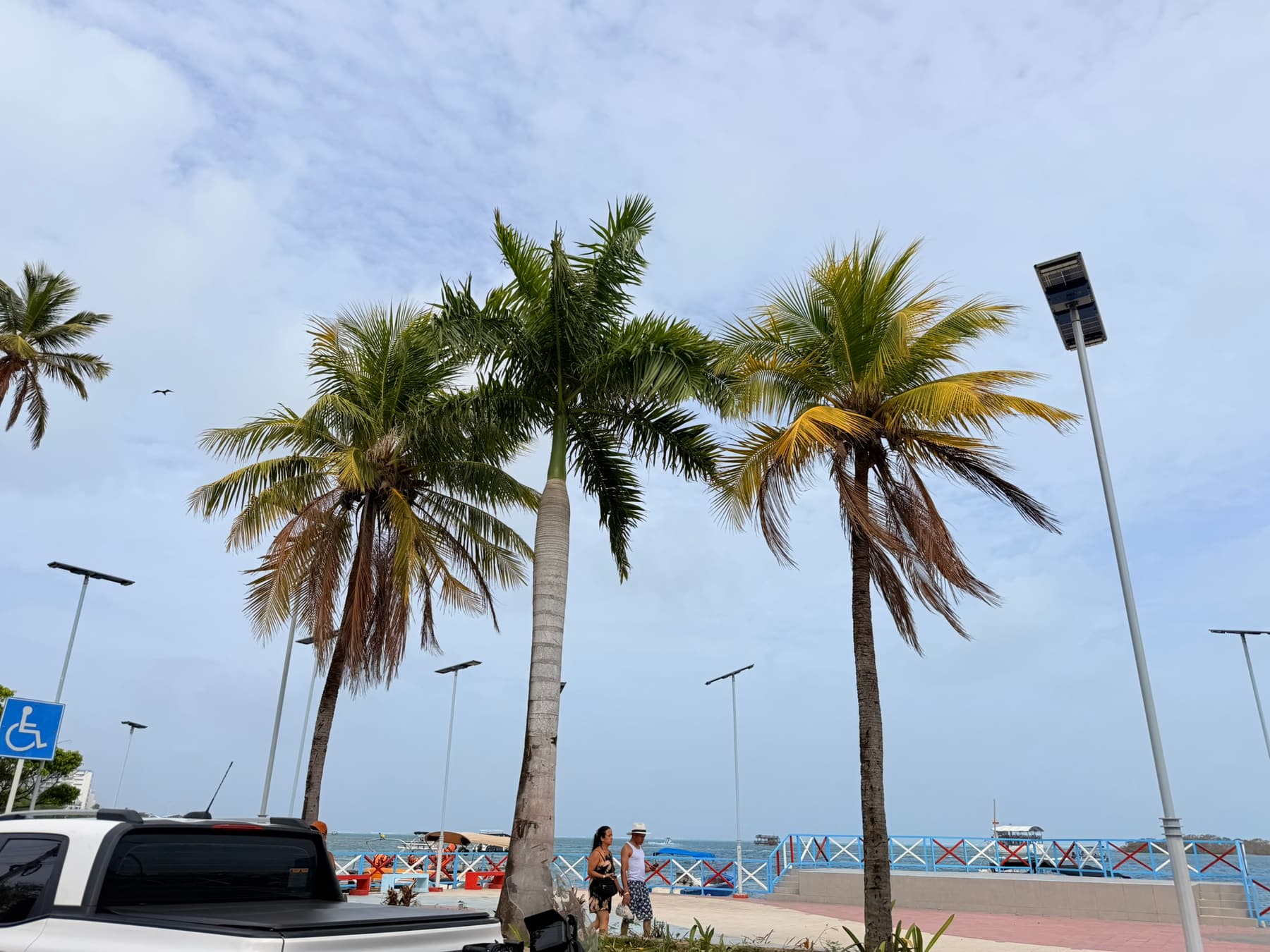 Malecón de San Andrés con palmeras y turistas paseando en el centro de la isla
