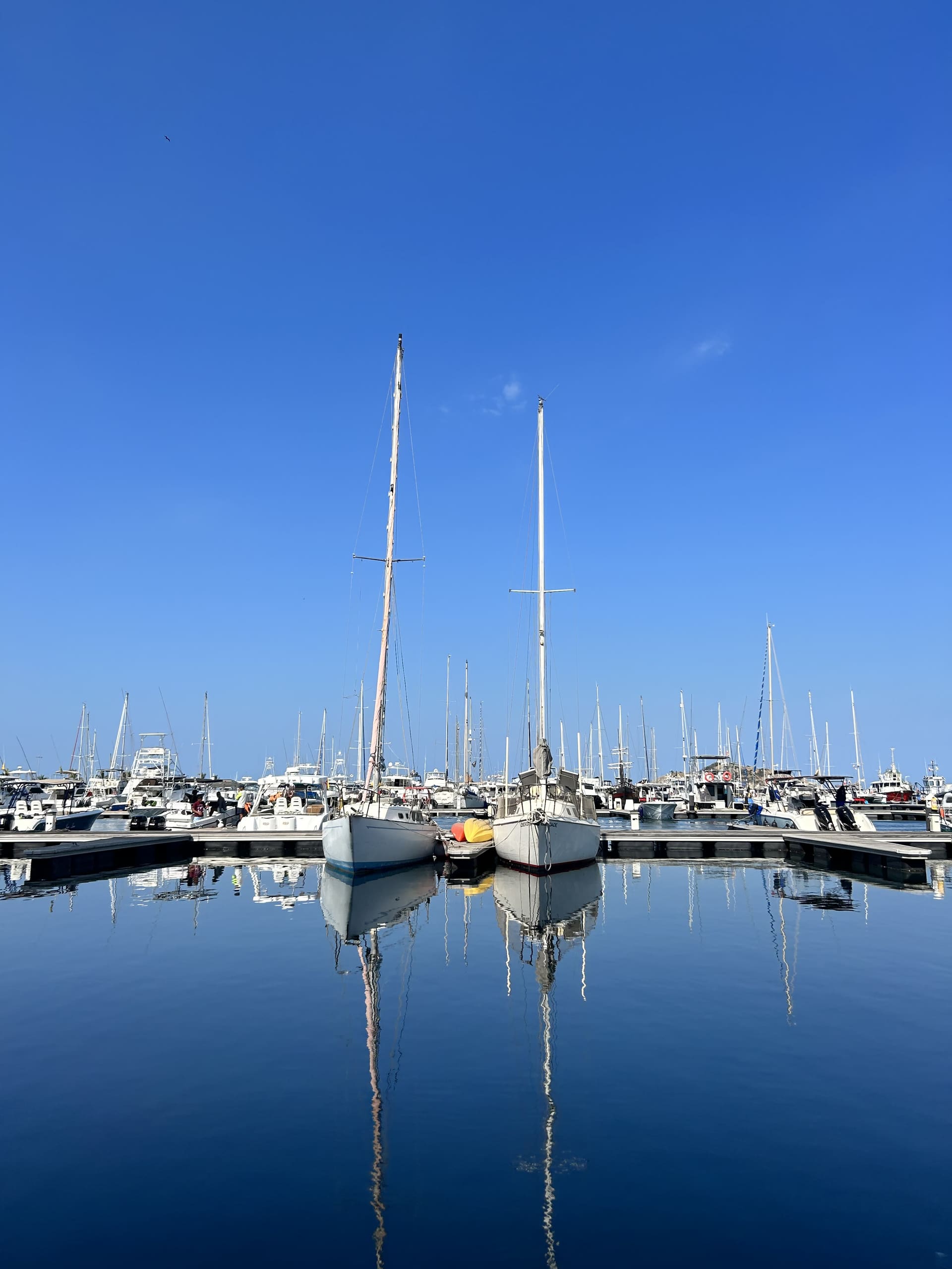 Veleros amarrados en la Marina Internacional de Santa Marta con el cielo despejado de fondo