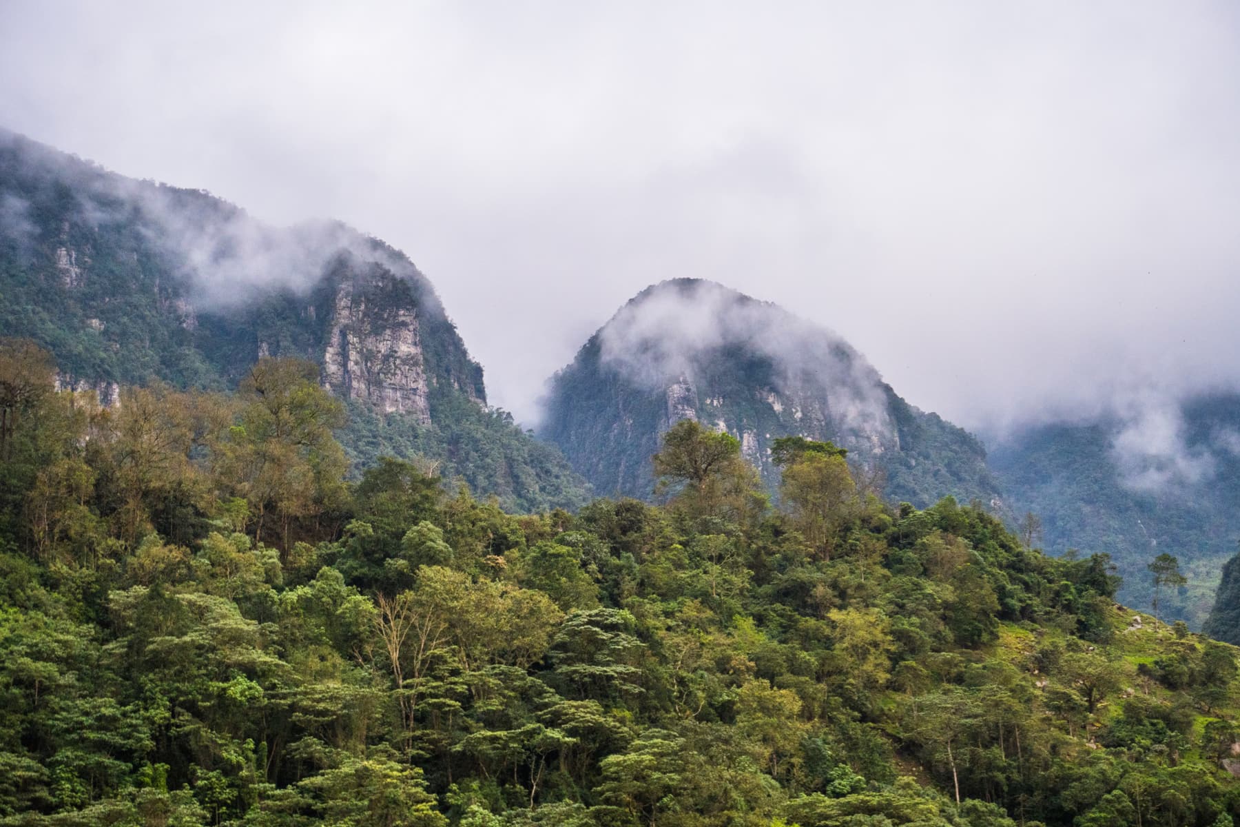 Montañas cubiertas de niebla en la zona andina del sur de Colombia