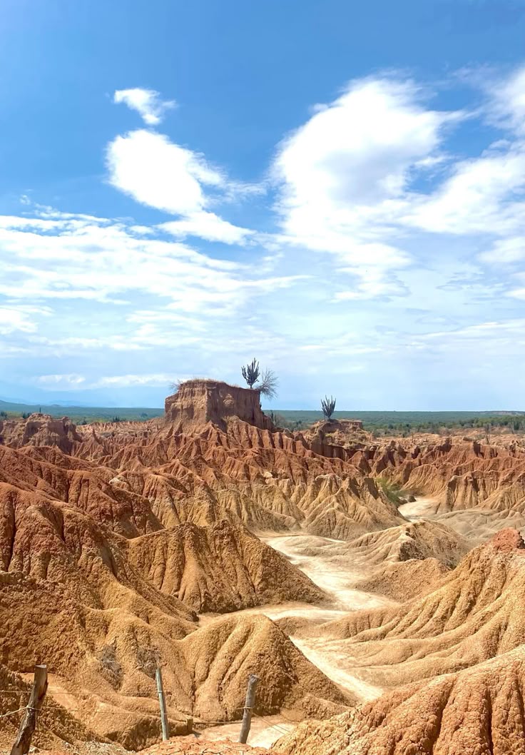 Formación rocosa en forma de mesa con cactus en el desierto de la Tatacoa