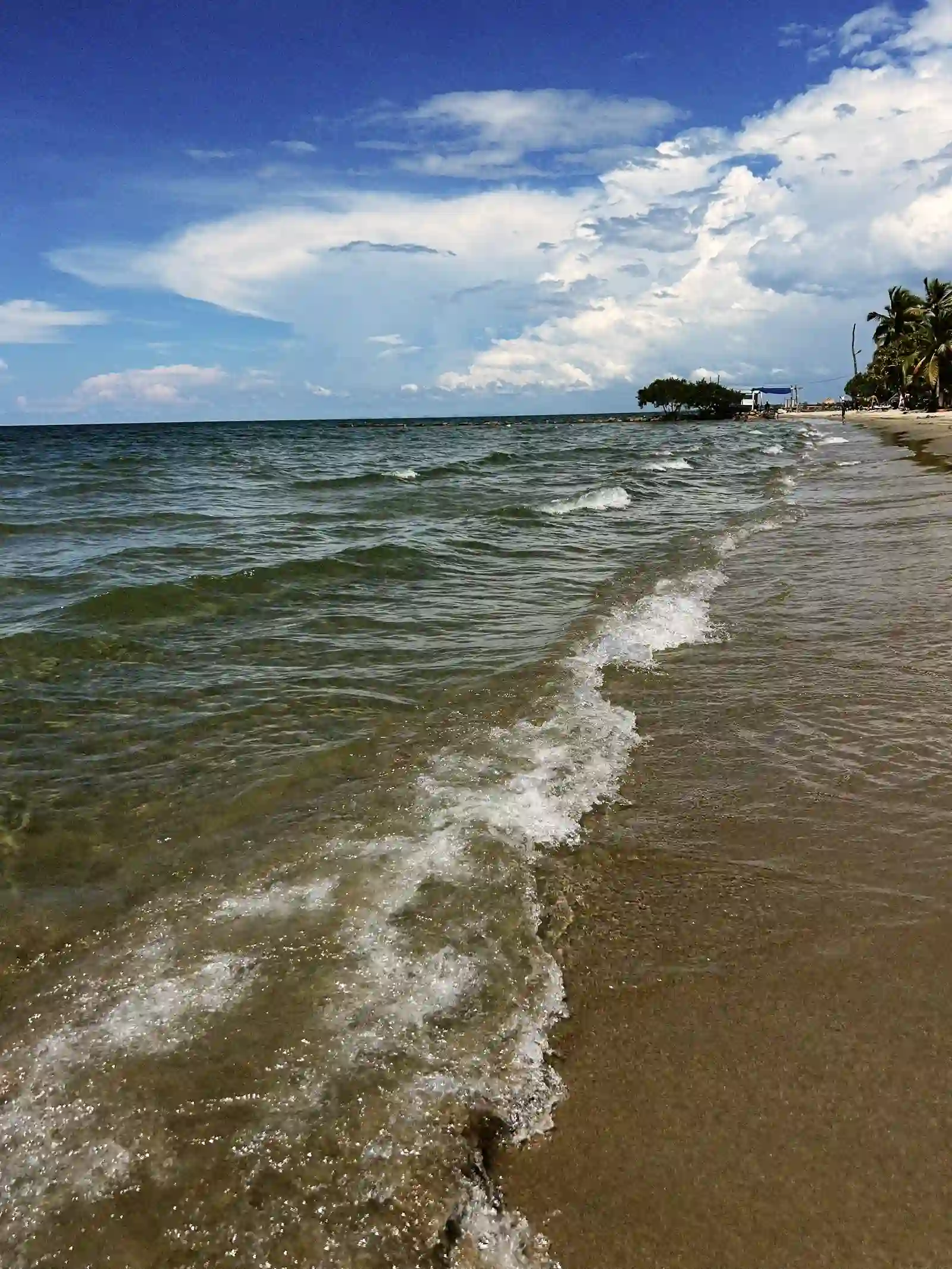 Playa de Coveñas con palmeras y arena blanca