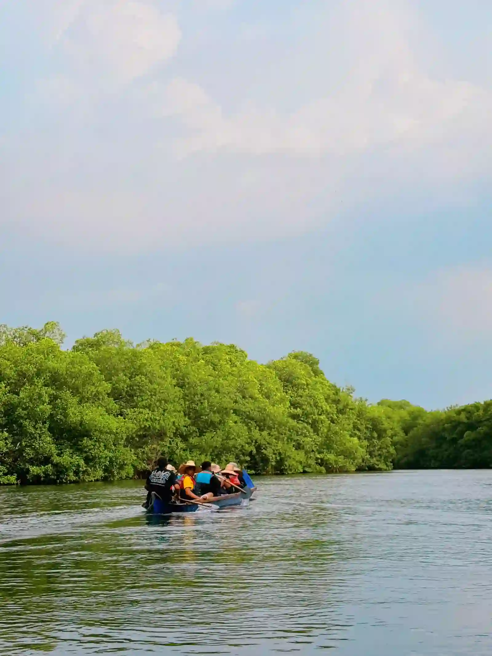 Tour por el manglar de Coveñas en lancha