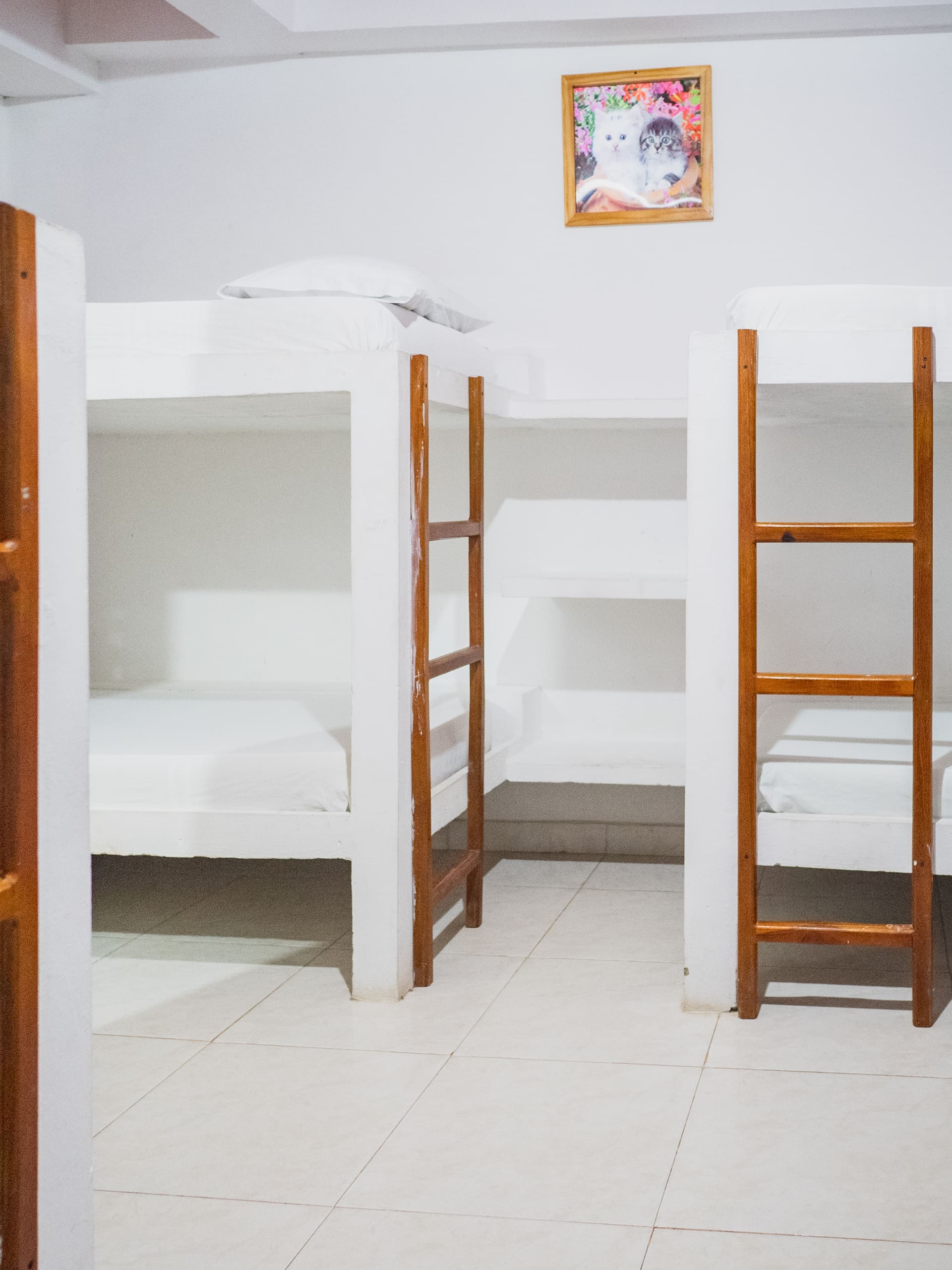 Habitación de Apartahotel Acapulco con dos literas y cuadro decorativo de gatos