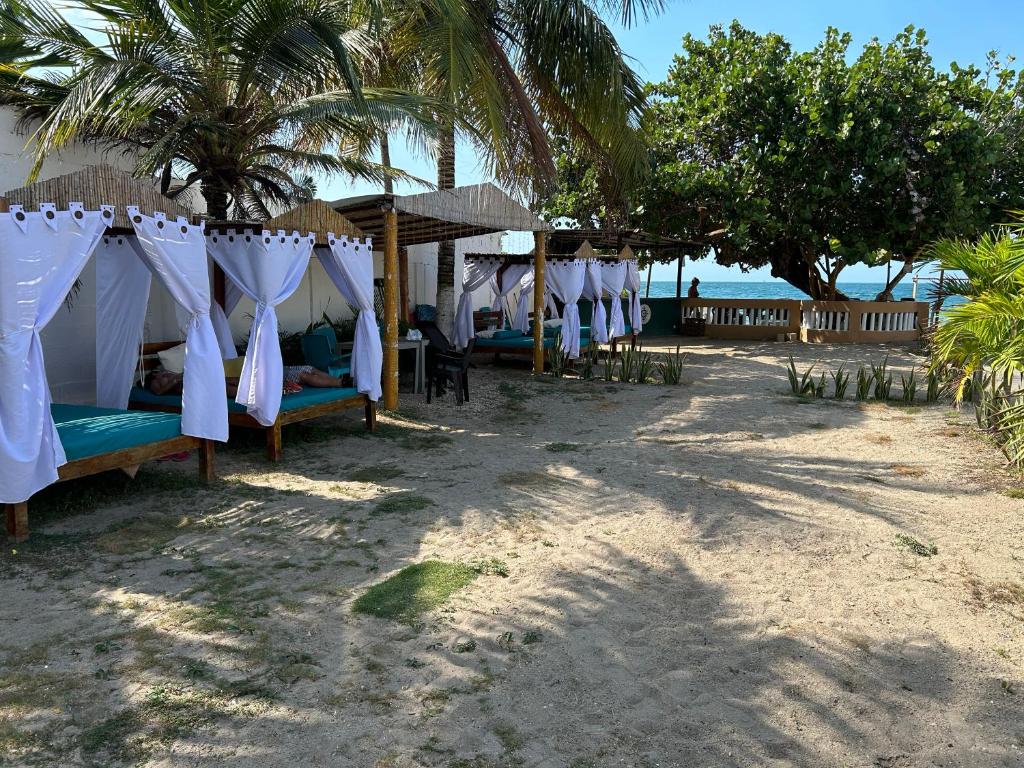 Camas balinesas con cortinas blancas bajo las palmeras, cerca de la playa en Torre Blanca